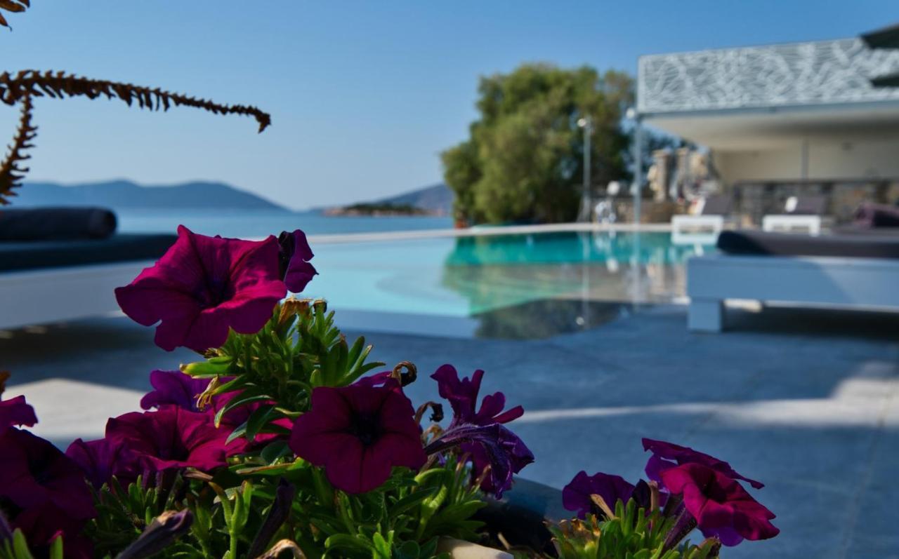 Dardiza Boutique Hotel إرميوني المظهر الخارجي الصورة